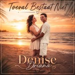 Denise Driana – Toeval bestaat niet